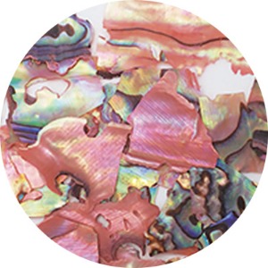 파라 내추럴 비치쉘 핑크마블 (NZ02)