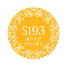프리젤 뮤즈 오렌지 블로썸 PGM-S193